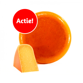 Goudse brokkelkaas overjarig | Hele kaas